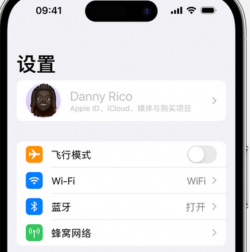 巩留appleID维修服务iPhone设置中Apple ID显示为灰色无法使用 