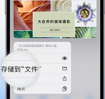 巩留apple维修中心分享iPhone文件应用中存储和找到下载文件