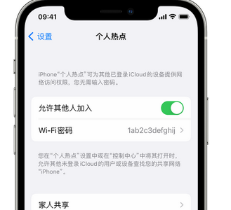 巩留apple服务站点分享iPhone上个人热点丢失了怎么办 