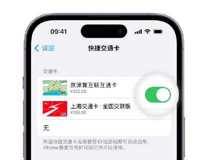 巩留apple维修点分享iPhone上更换Apple Pay快捷交通卡手绘卡面 