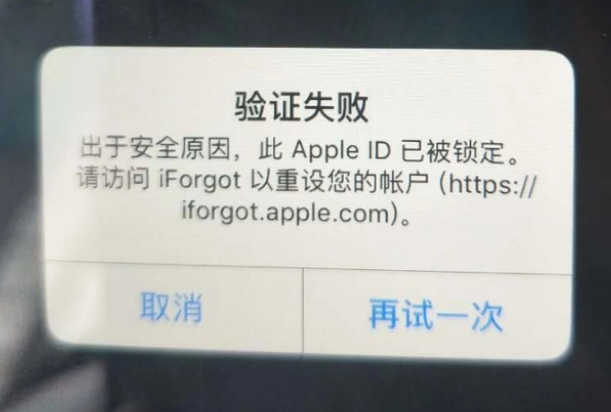 巩留iPhone维修分享iPhone上正常登录或使用AppleID怎么办 