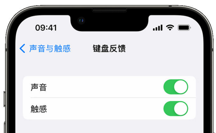 巩留苹果手机维修分享iPhone 14触感键盘使用方法 