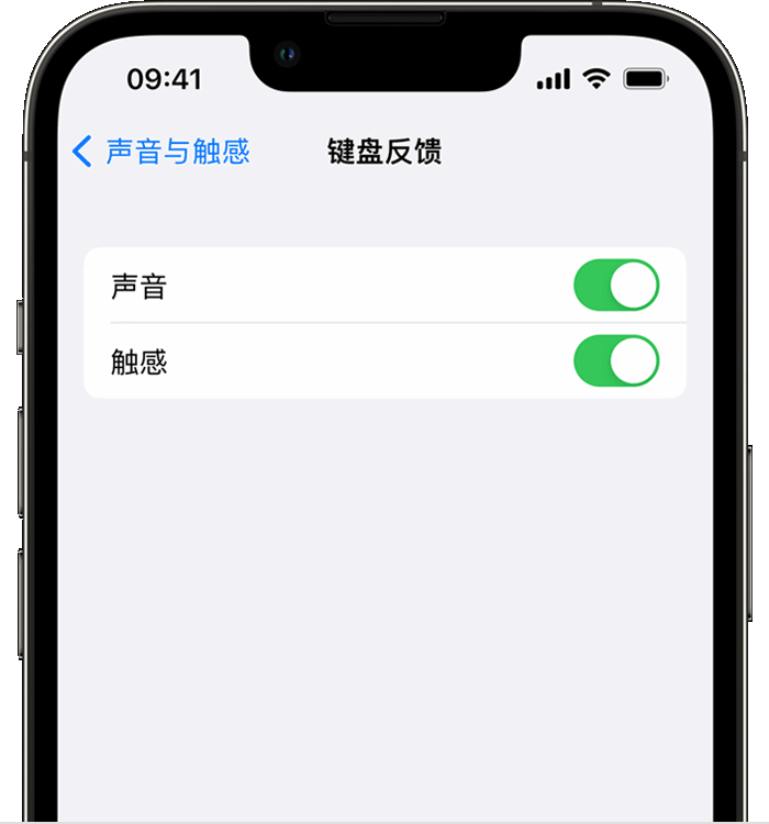 巩留苹果14维修店分享如何在 iPhone 14 机型中使用触感键盘 