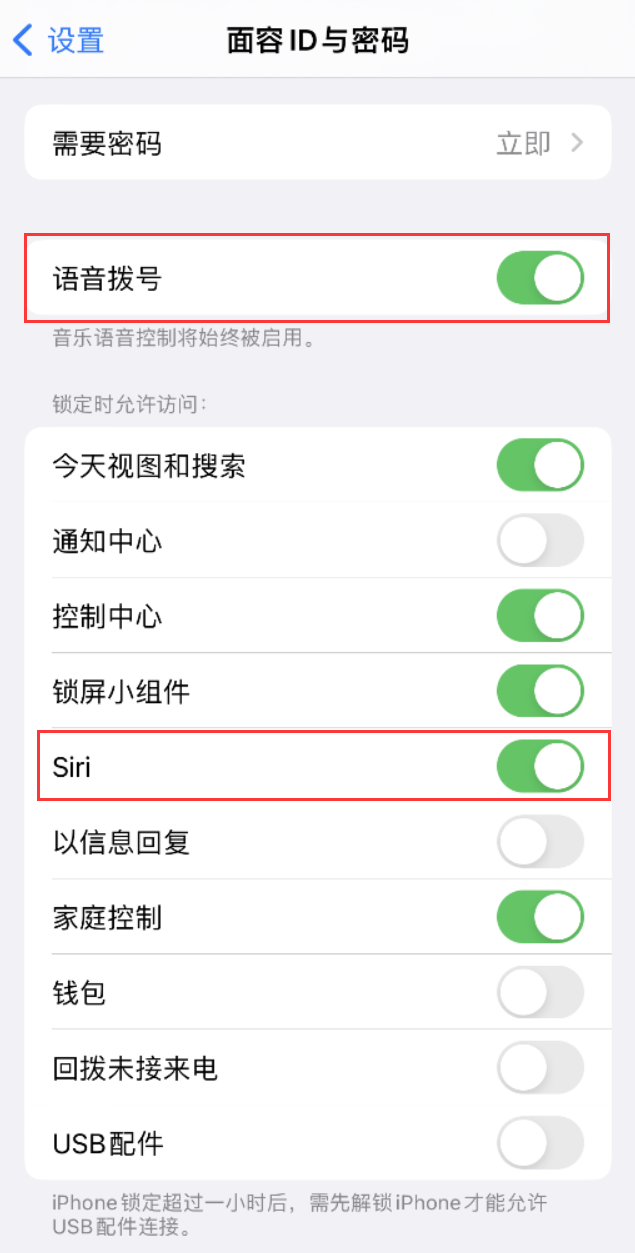 巩留苹果维修网点分享不解锁 iPhone 的情况下通过 Siri 拨打电话的方法 