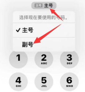 巩留苹果14维修店分享iPhone 14 Pro Max使用副卡打电话的方法 