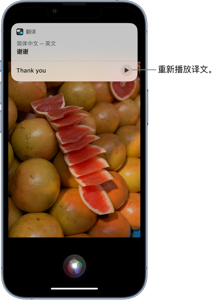 巩留苹果14维修分享 iPhone 14 机型中使用 Siri：了解 Siri 能帮你做什么 