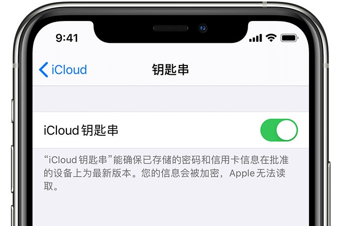 巩留苹果手机维修分享在 iPhone 上开启 iCloud 钥匙串之后会储存哪些信息 