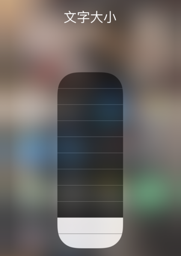 巩留苹果手机维修分享小技巧：在 iPhone 控制中心快速调节字体大小 