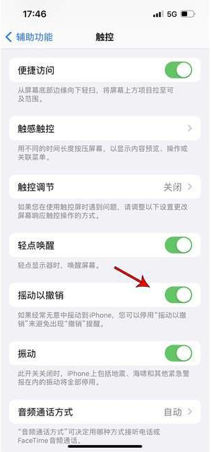 巩留苹果手机维修分享iPhone手机如何设置摇一摇删除文字 